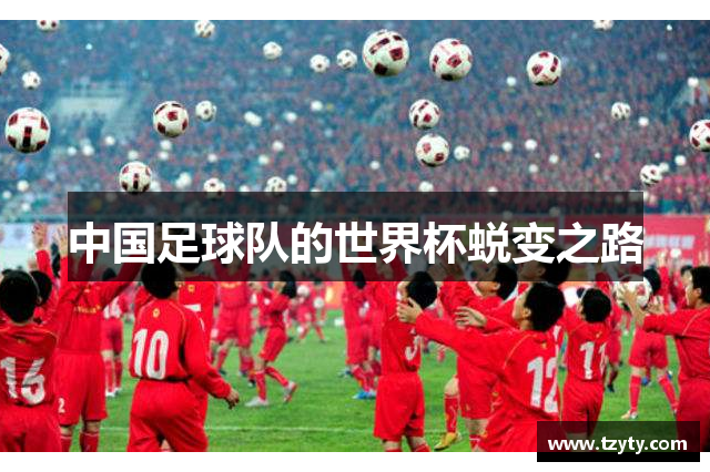 中国足球队的世界杯蜕变之路