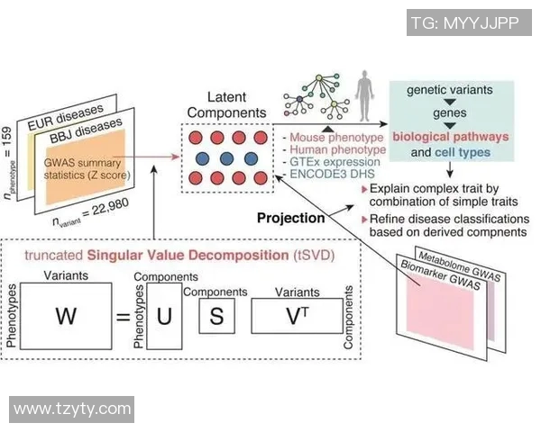 武汉羽毛球队战术分析与技巧提升的全面探讨与展望
